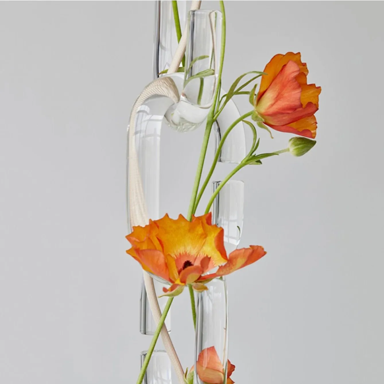 Cerine Pendant Lamp
