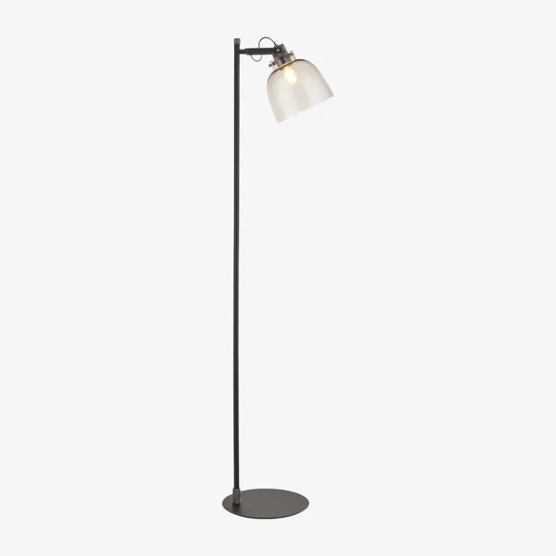 Readium Industrial Floor Lamp - Adjustable Glass Head Metal Base for Living Room and Bedroom T869