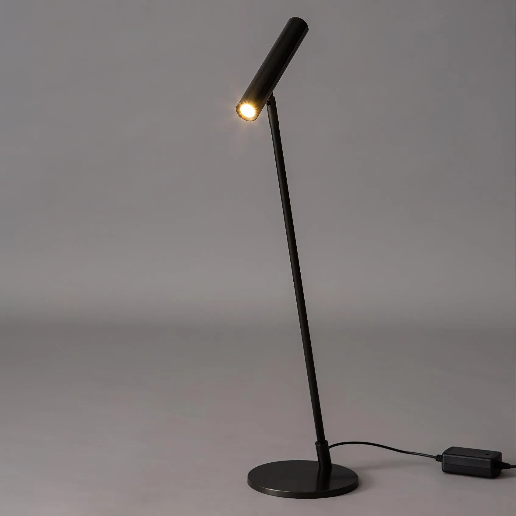 Modern Minimalist Brass Adjustable LED Floor Lamp M402