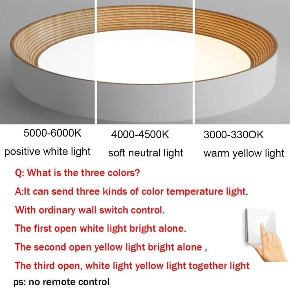 Cedronis Minimalist LED Round Ceiling Light T153