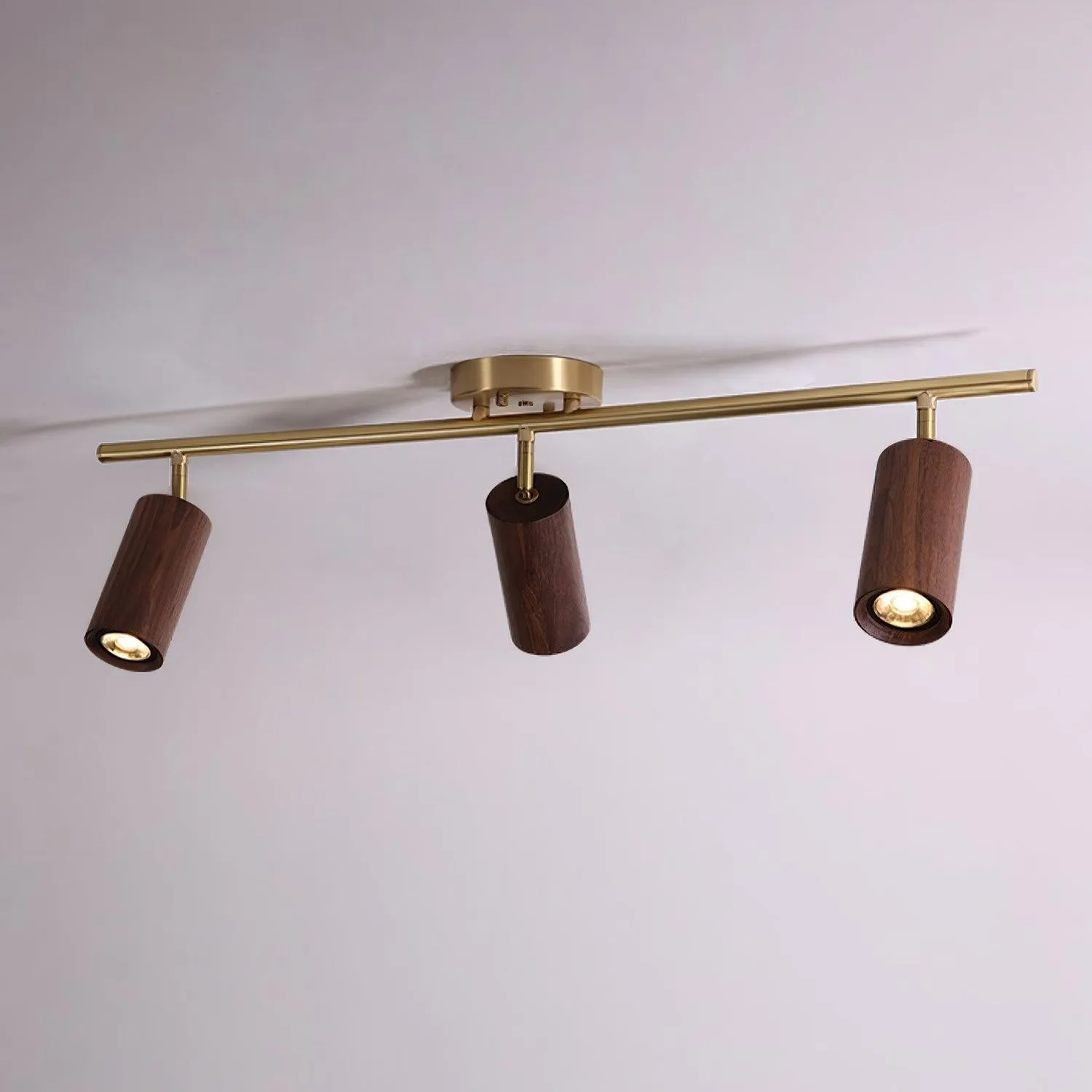 Fashion Wooden Modern Track Lighting M12