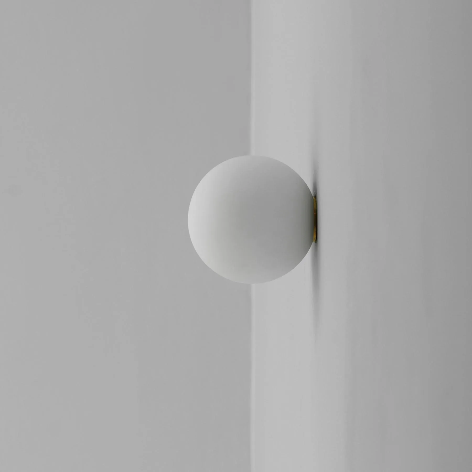 Dioscuri Wall Light / Ceiling Lamp