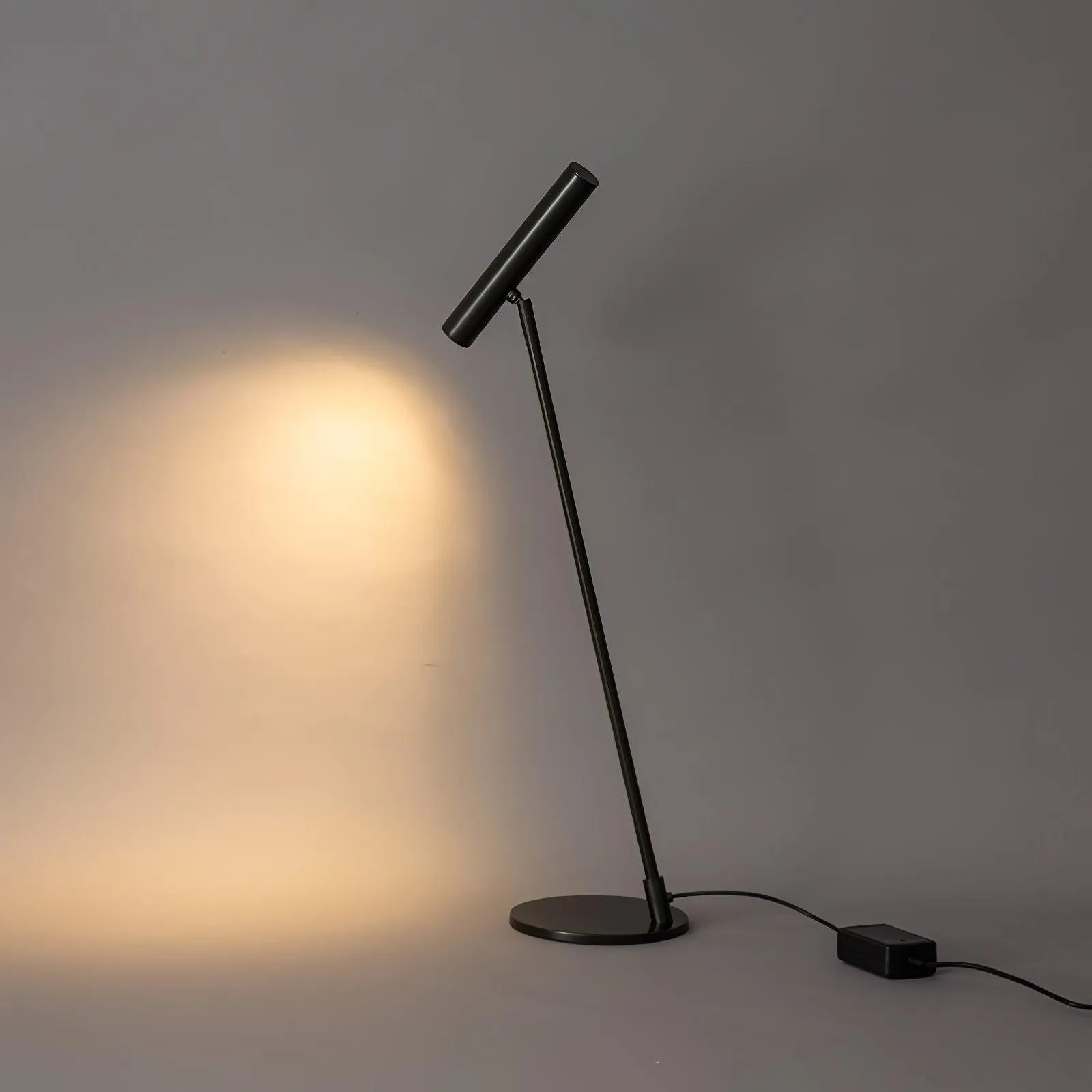 Modern Minimalist Brass Adjustable LED Floor Lamp M402