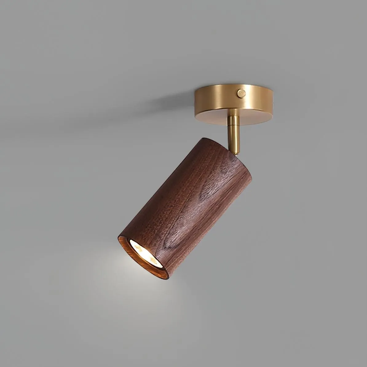 Fashion Wooden Modern Track Lighting M12