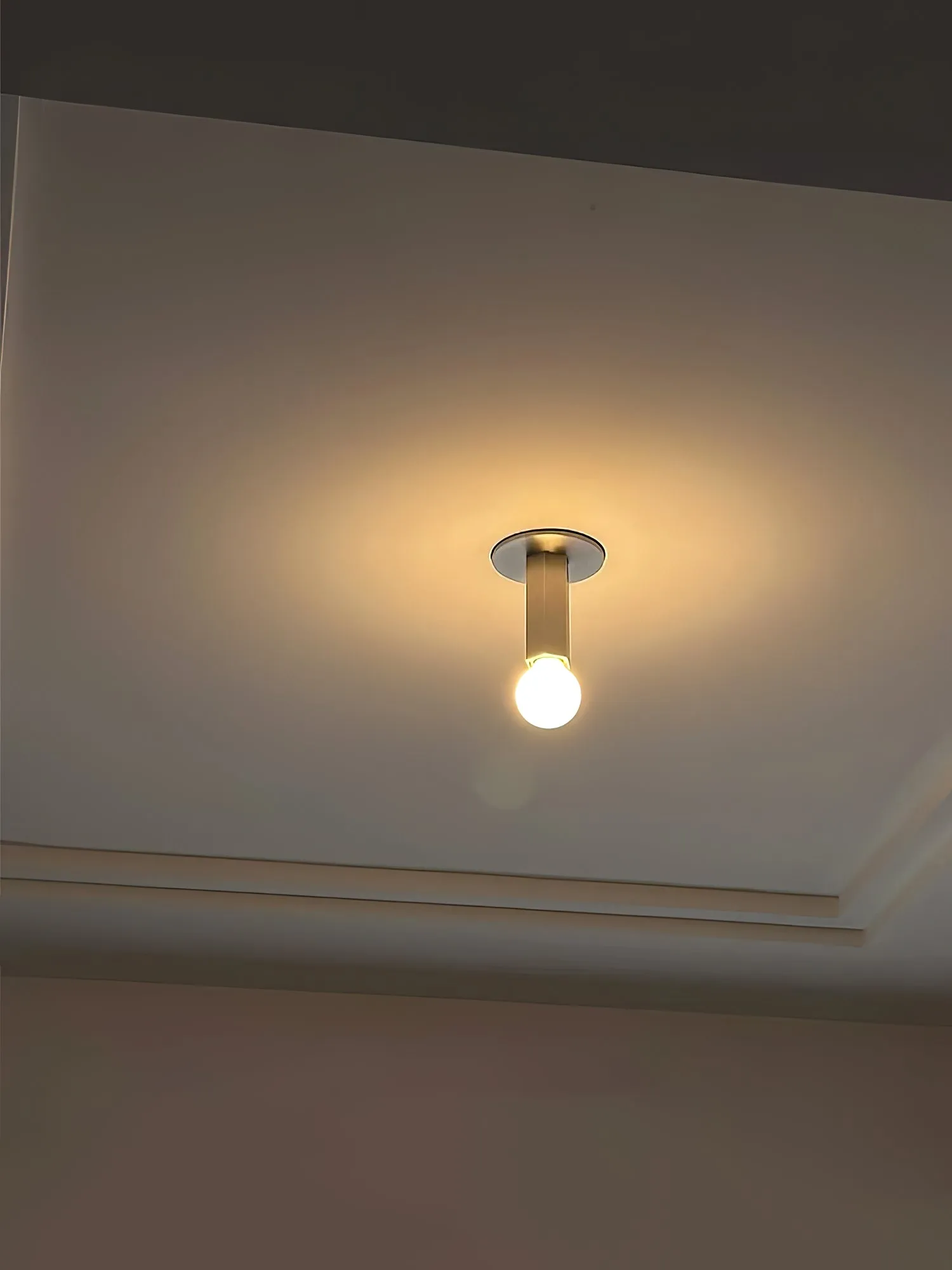 Adams Flush Mount Ceiling Lamp T1924