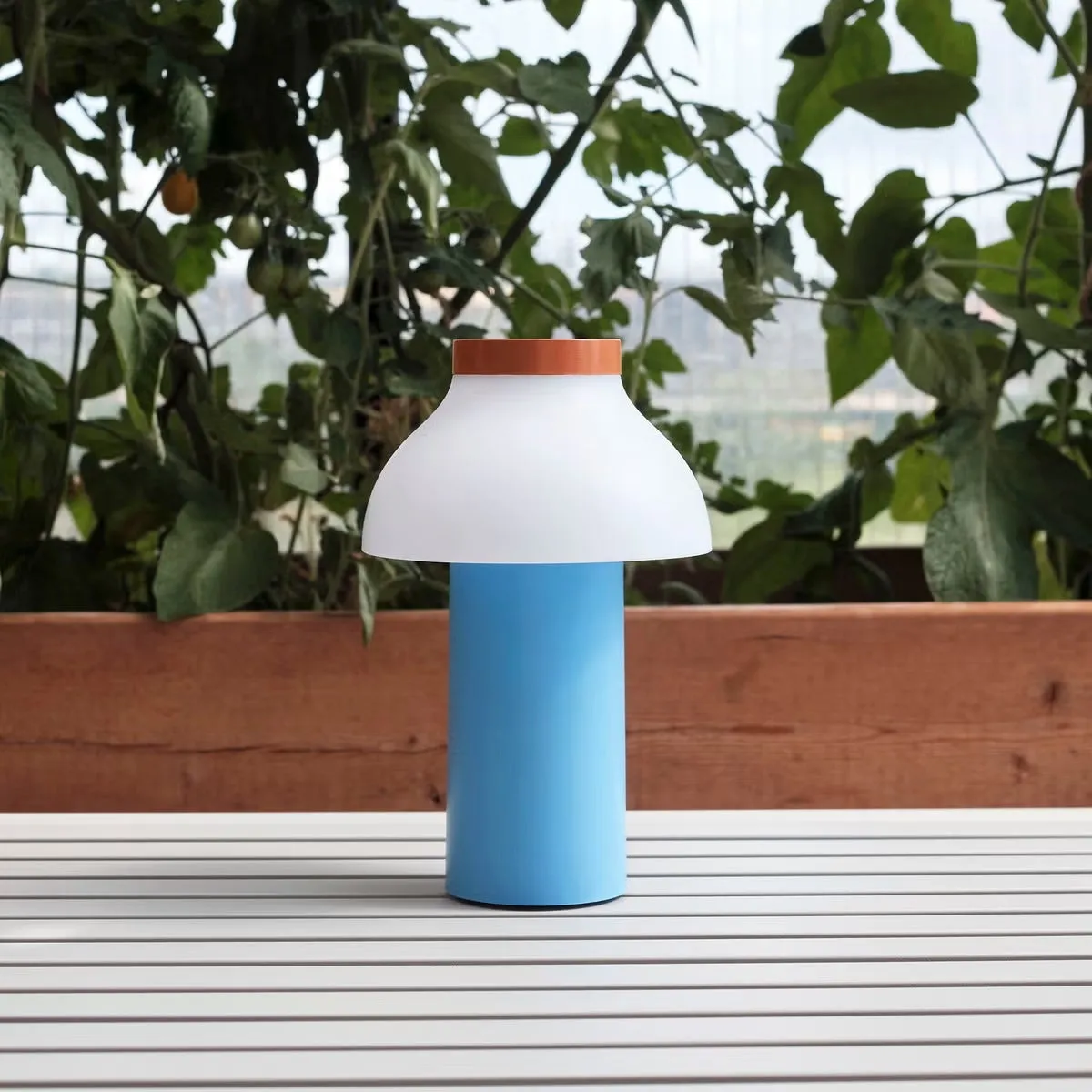 PC Portable Table Lamp (Built-in Battery) T1870