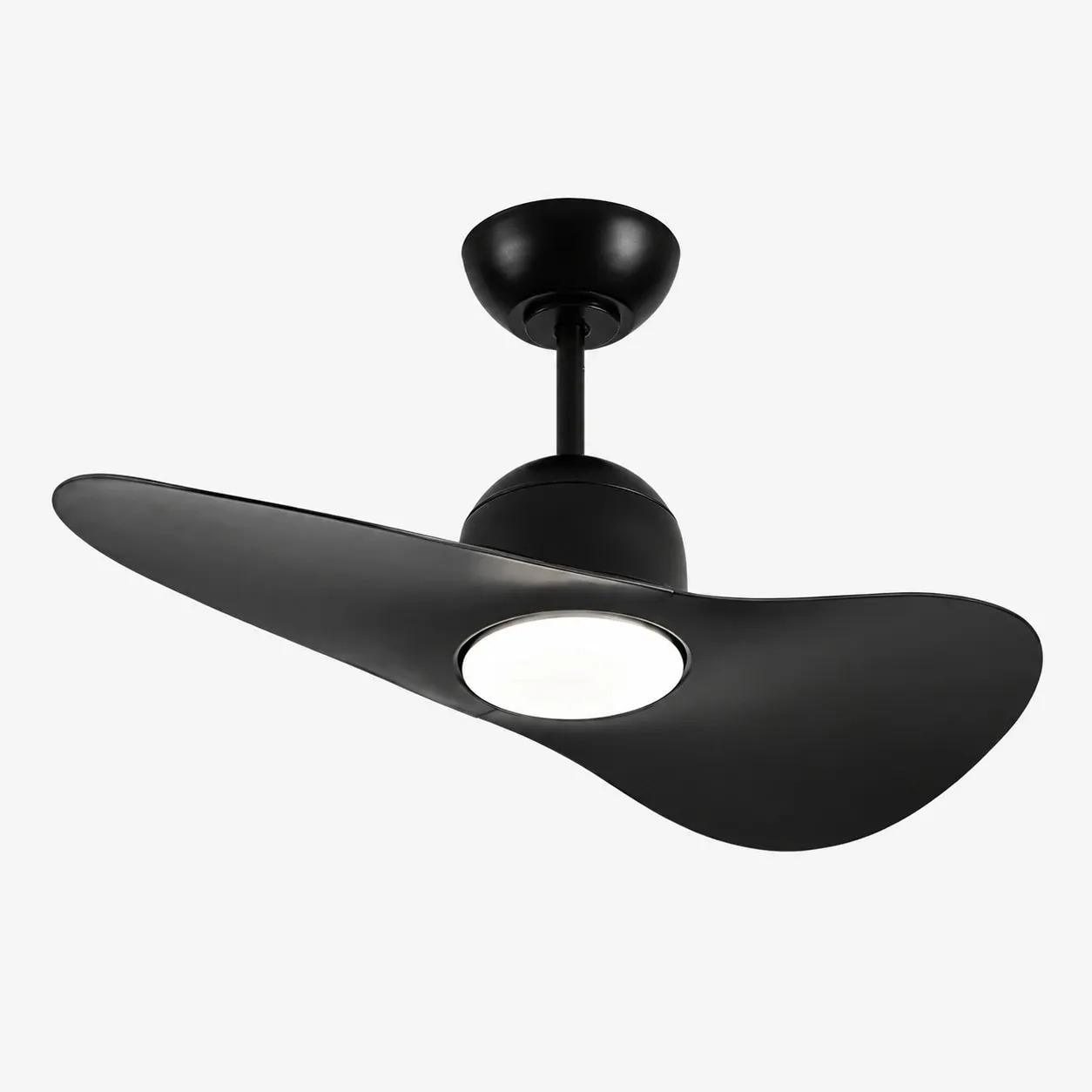 Designer Hat Two-Blade Ceiling Fan Light