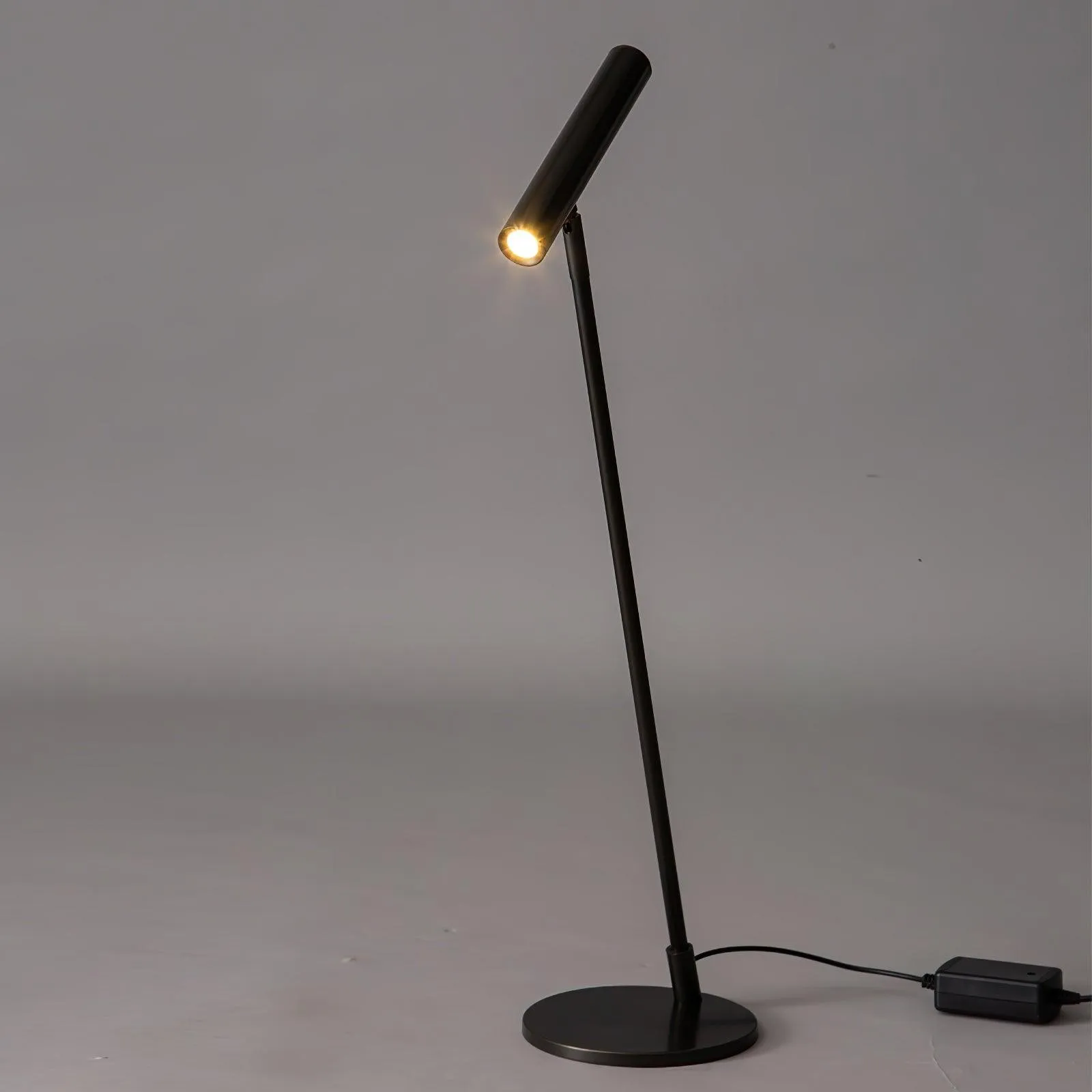 Modern Minimalist Brass Adjustable LED Floor Lamp M402