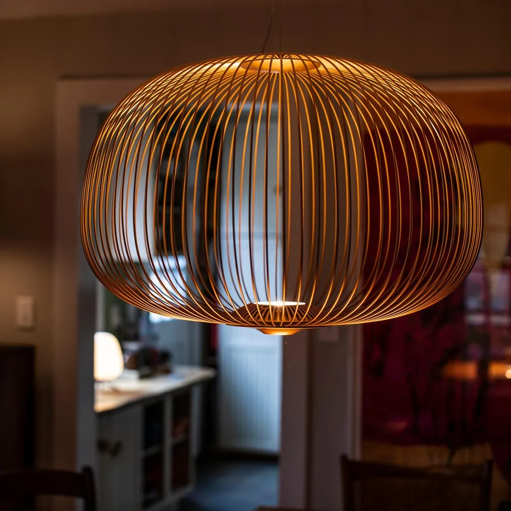 Radiloop Pendant Light - Minimalist Designer Lamp for Dining Area