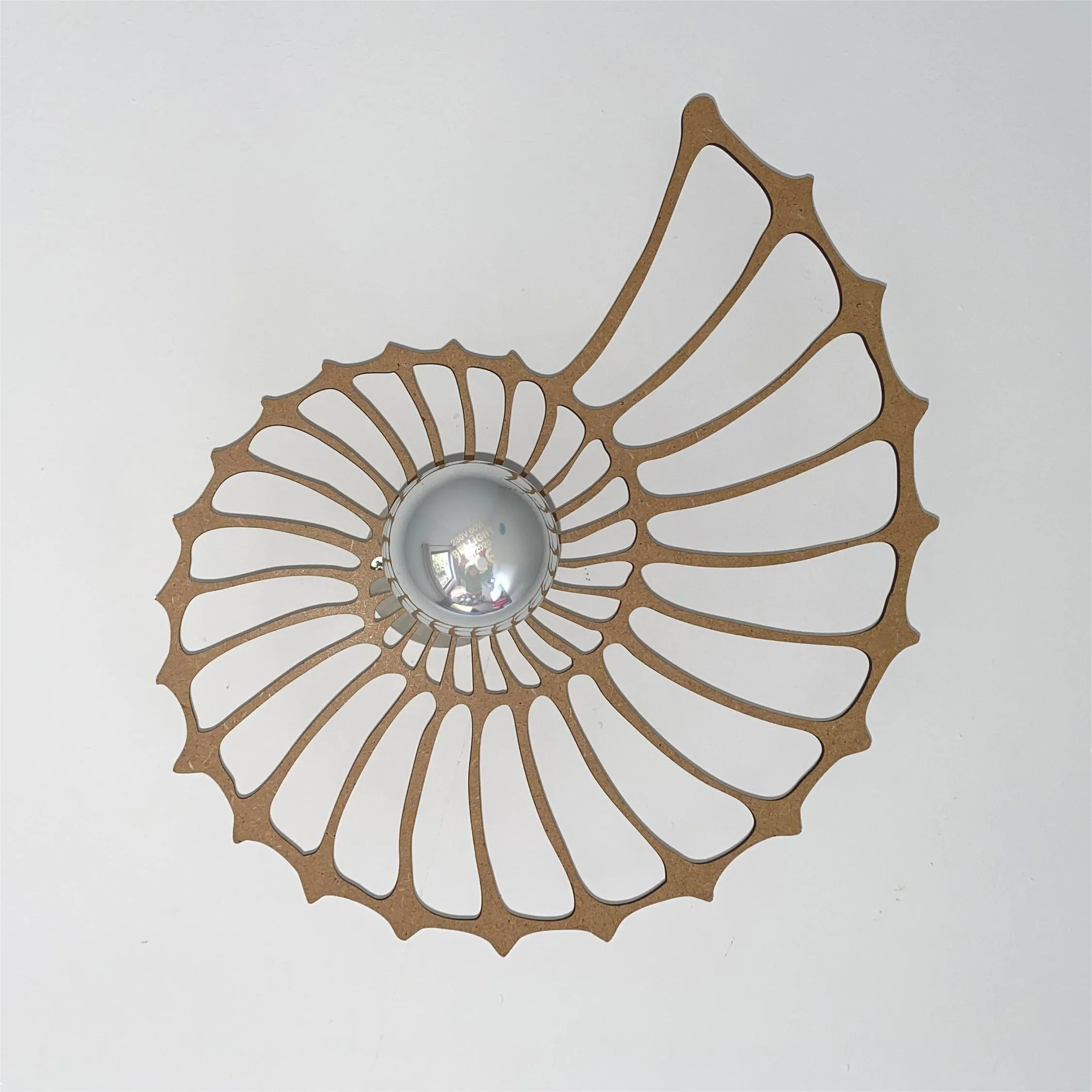 Nautilus Shade Decorative Wall Light S101