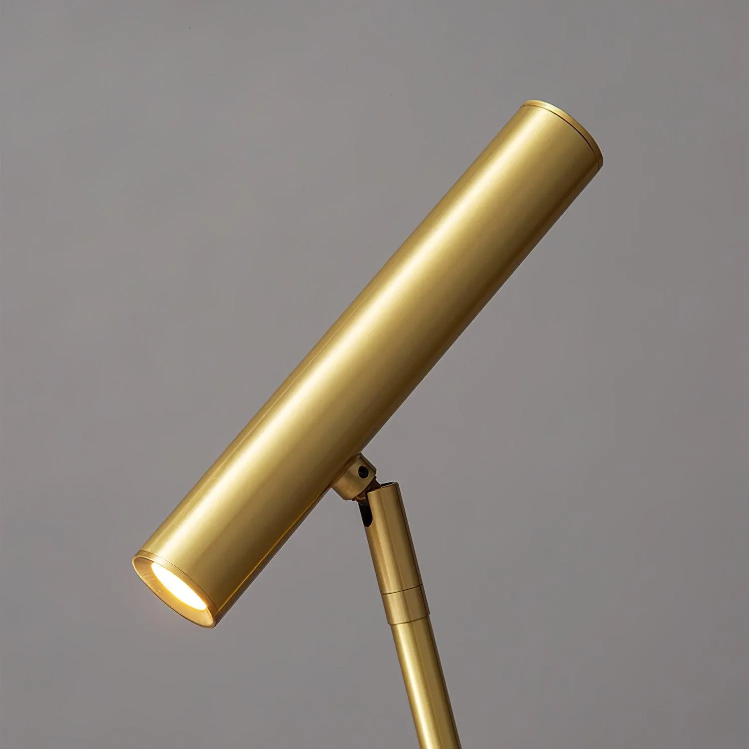 Modern Minimalist Brass Adjustable LED Floor Lamp M402