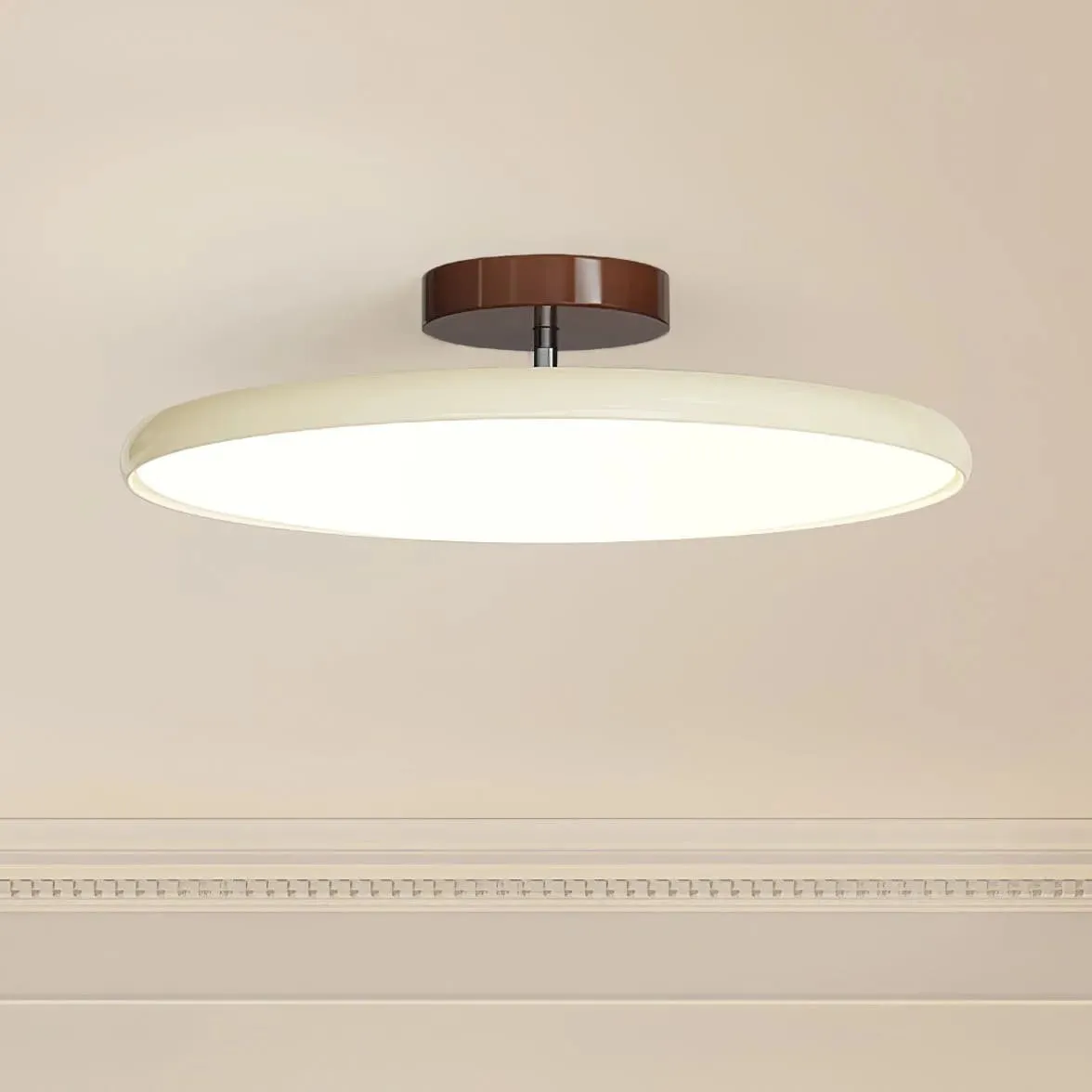Modern Adjustable Disc Ceiling Lamp M266
