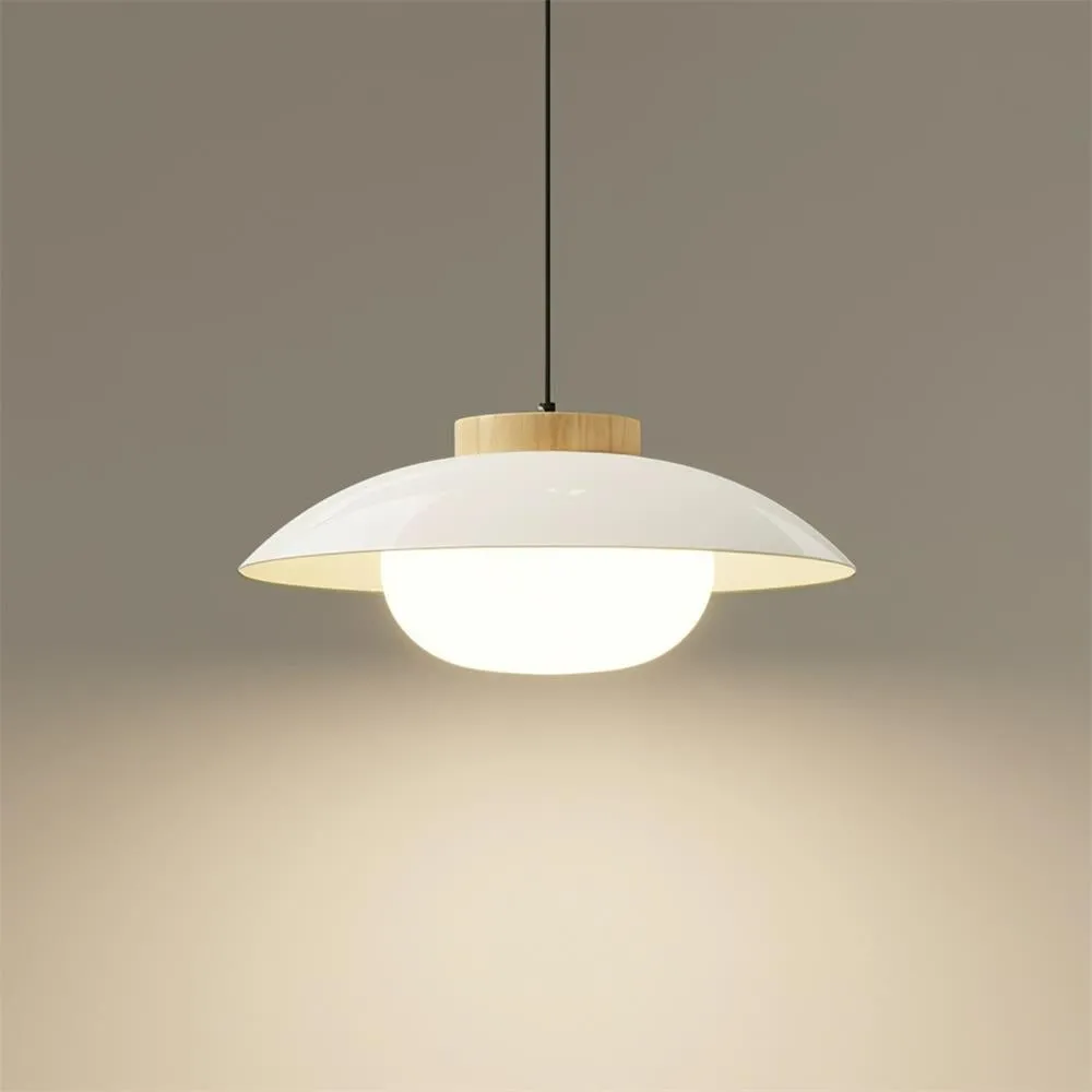 Modern Dining Room Glass Pendant Lamp M99