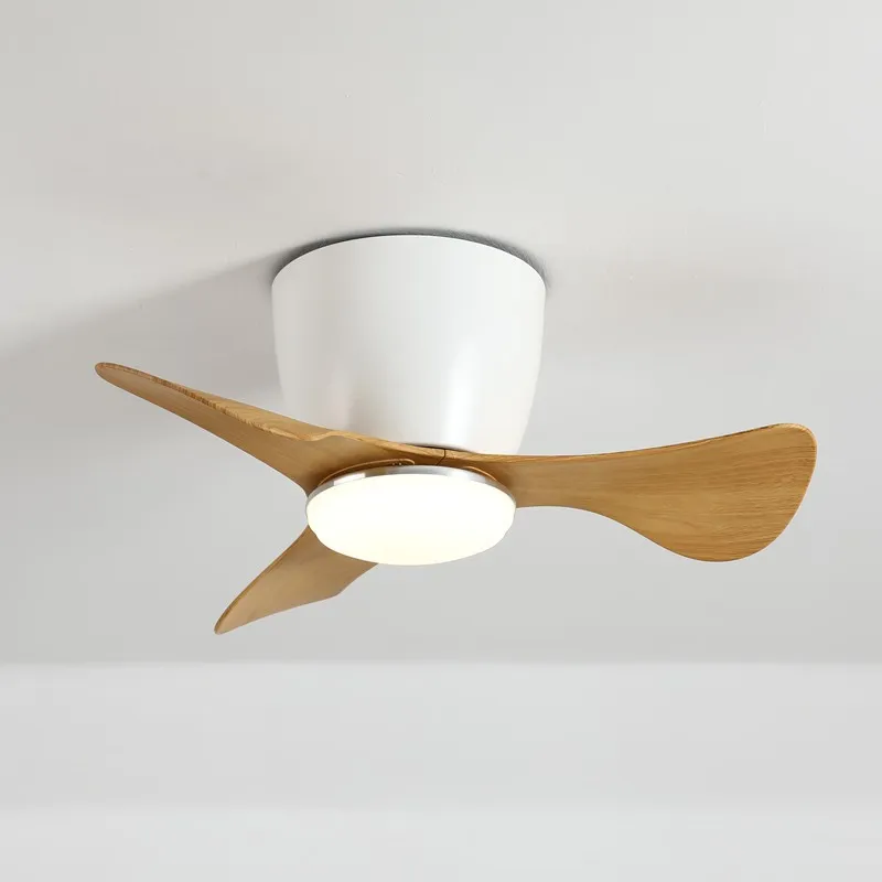 Ceiling Fan with Lights