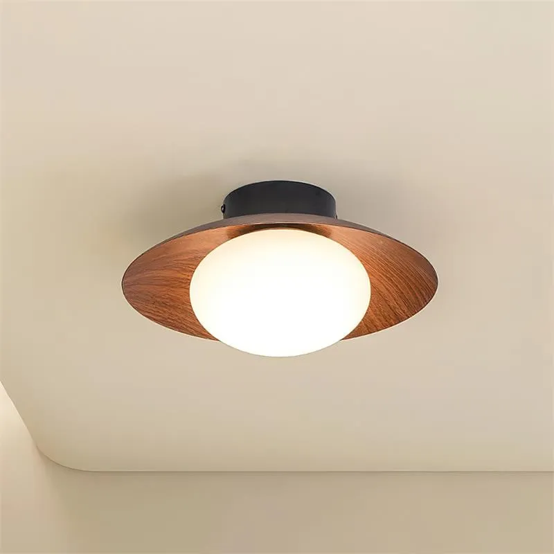 Dawn Creative Simplicity Ceiling Light M59
